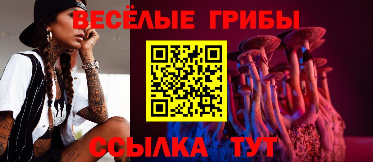 Вольск  наркошоп  Вход с VPN  Галлюциногенные грибы прущие грибы  Псилоцибиновые грибы мухоморы 